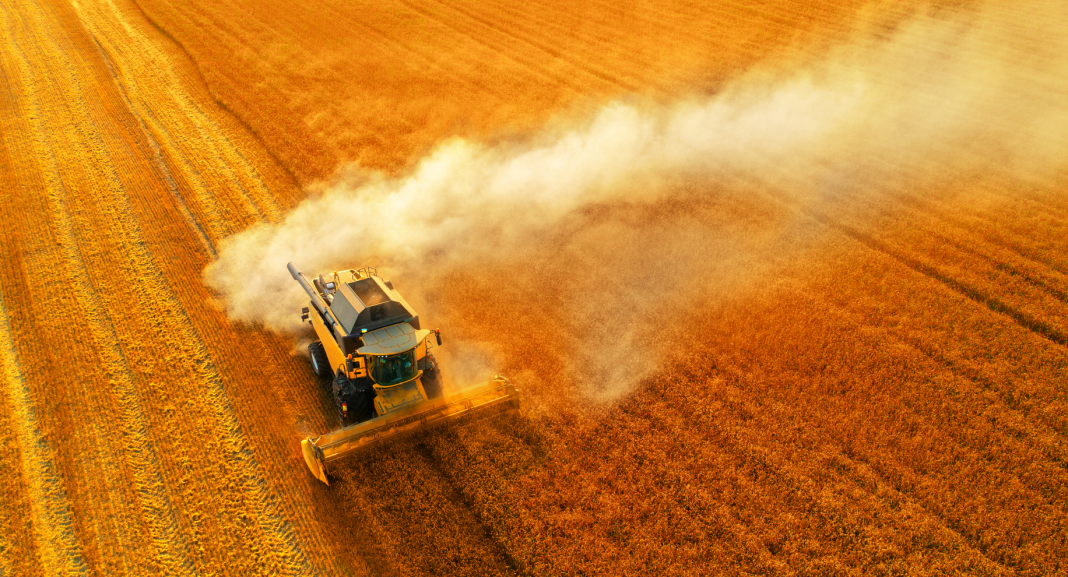 Photo: DepositPhotos.com