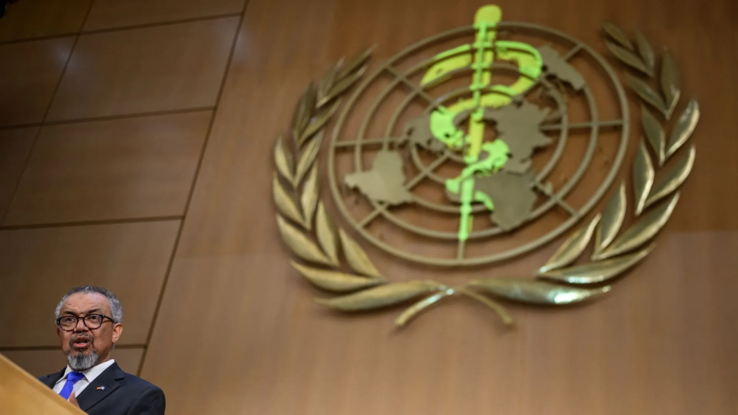 L'OMS ouvre son Assemblée annuelle sur fond du hantavirus et d'Ebola
