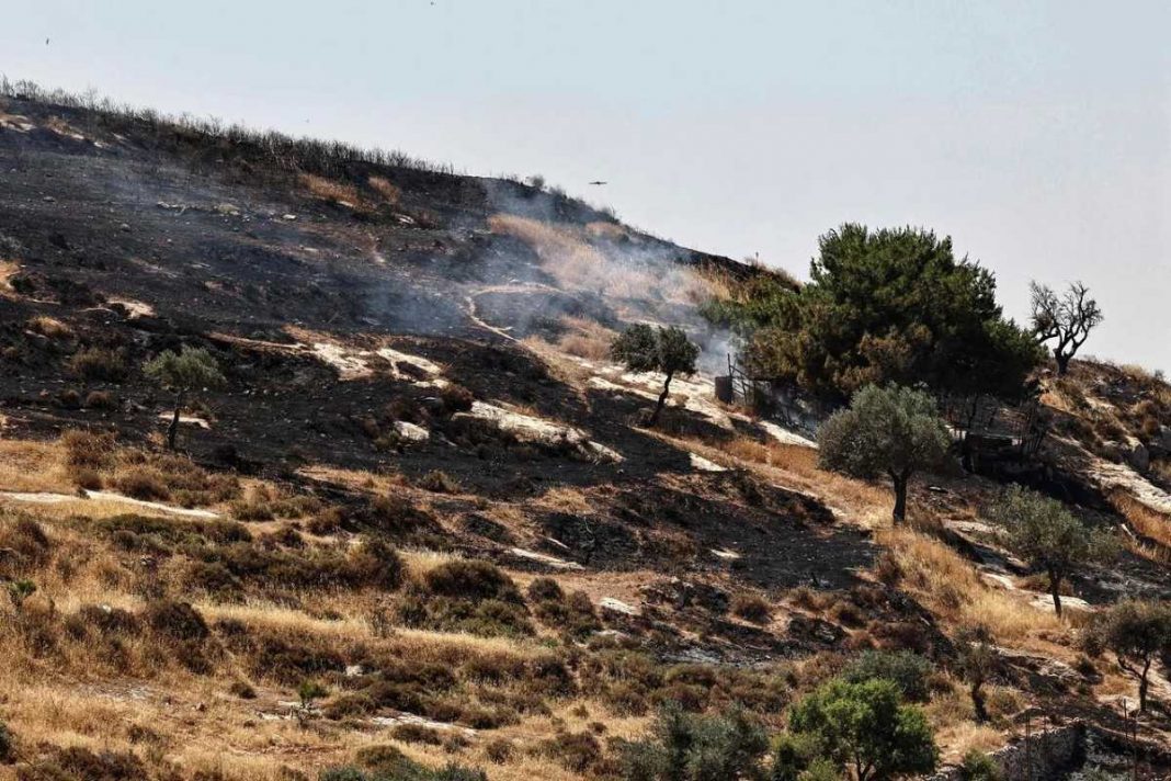 des colons israéliens ont incendié des pâturages autour du village de Taybeh, en Cisjordanie occupée, le 10 juin 2026.